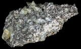 Twinned Calcite Crystals With Chalcopyrite - Missouri #35931-4